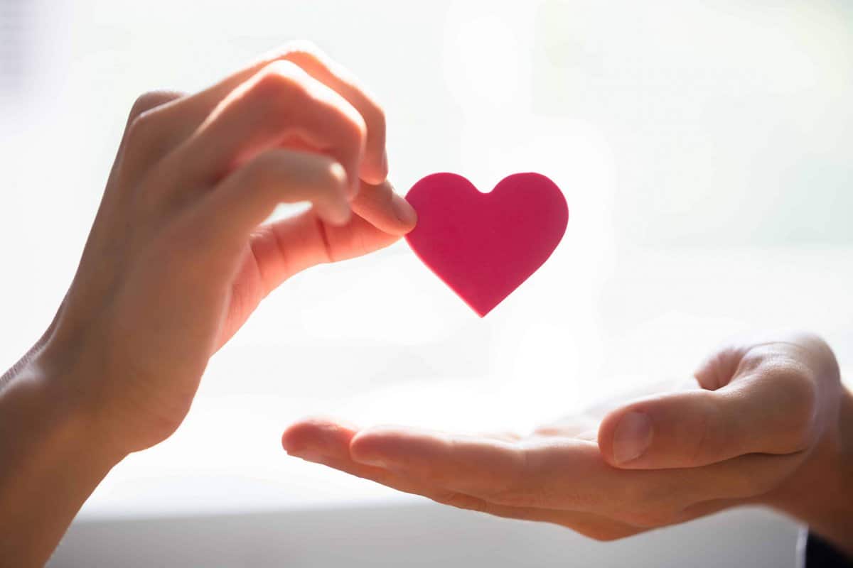 A person holding a paper heart in their hands, symbolizing the love and care provided by organizations offering support.