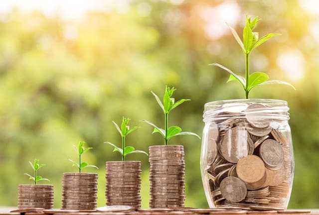 Tips for growing money through a plant-filled coin jar.